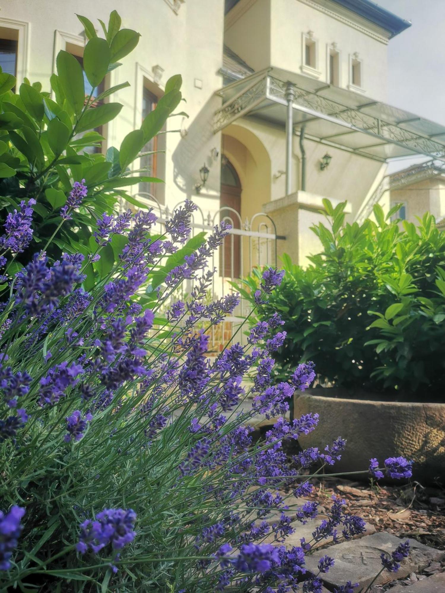 Kuria Apartman Budapest With Free Parking Exterior foto