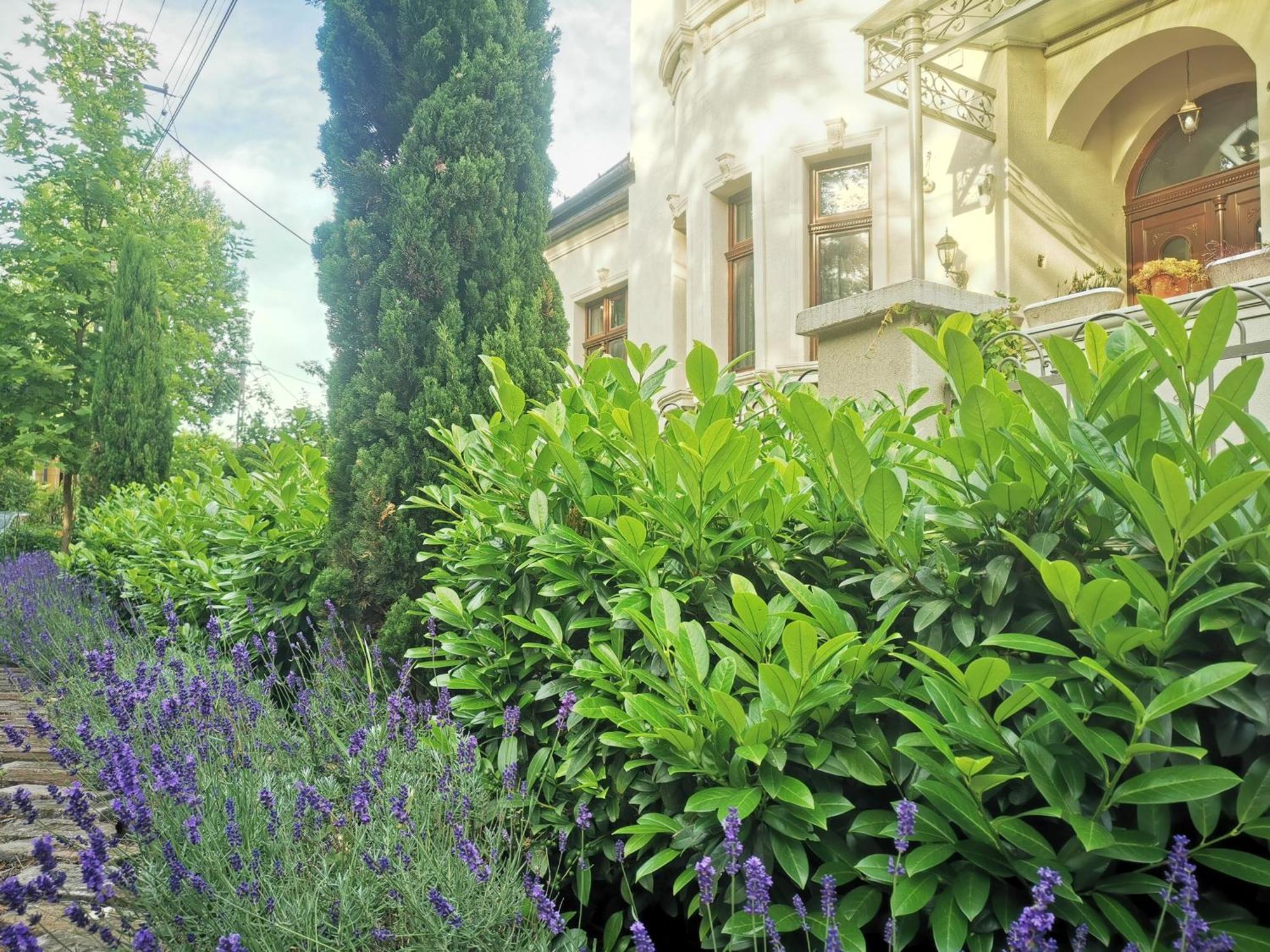 Kuria Apartman Budapest With Free Parking Exterior foto